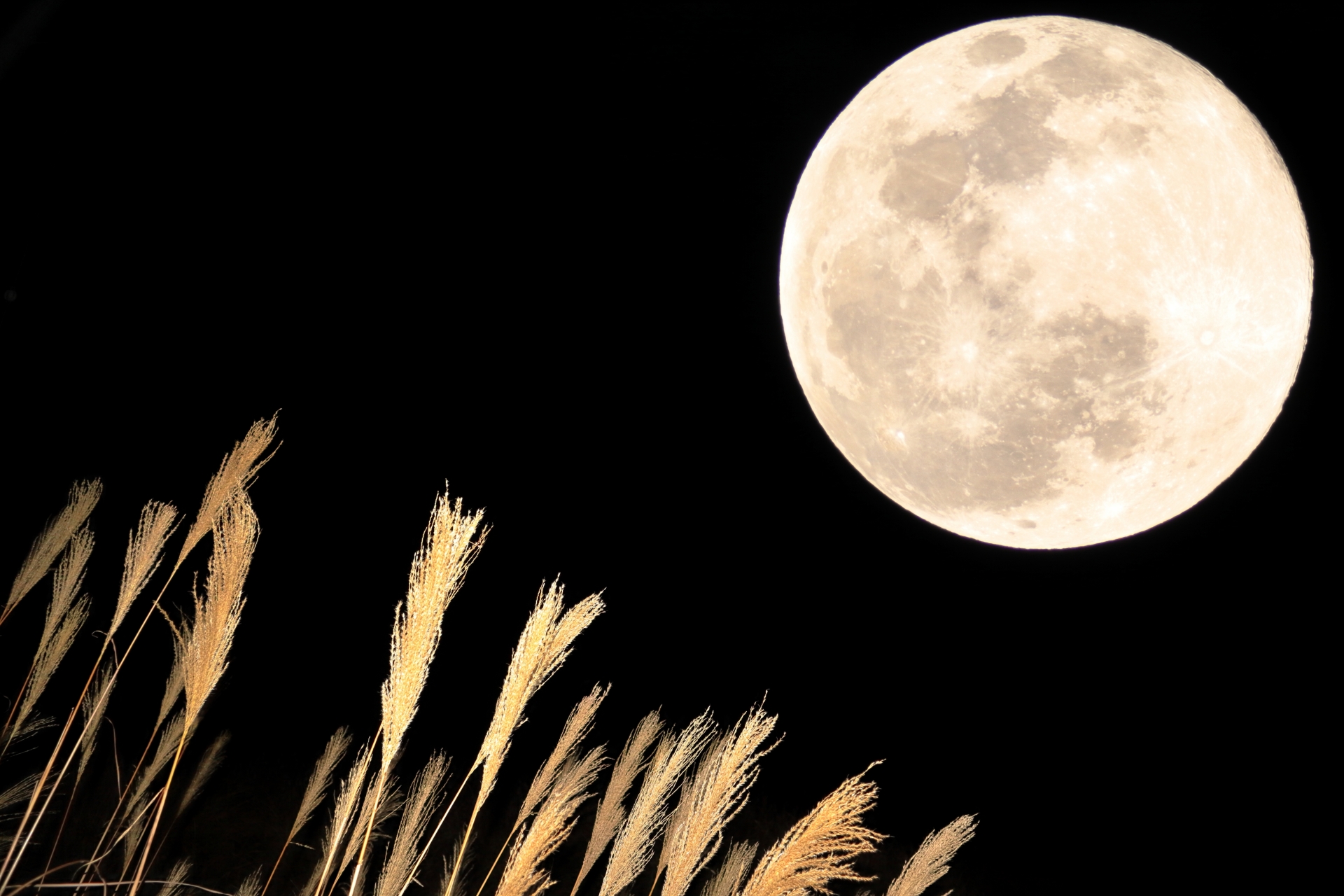  iPhone 13は9月17日、AirPods 3は9月30日に発売、クレームレポート