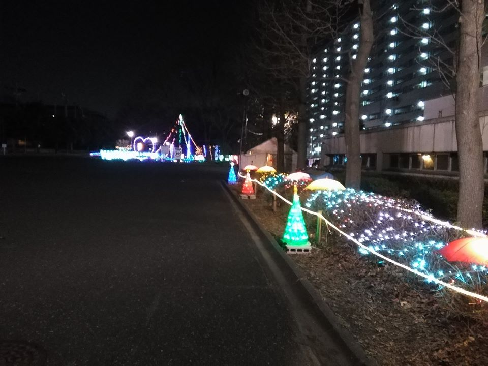 年冬版 墨田区へイルミーネーションを見に出かけよう おすすめスポット3選 東白鬚公園 すみだ水族館 東京スカイツリータウン 東京イベントプラス 親子で楽しいお得な週末お出かけ情報