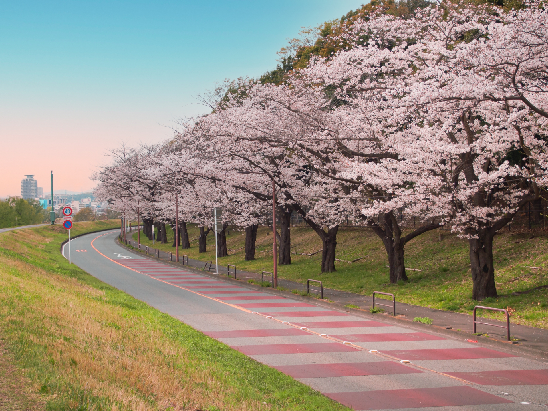 府中のお花見スポット9選 府中の森公園 府中公園 東京イベントプラス 親子で楽しいお得な週末お出かけ情報