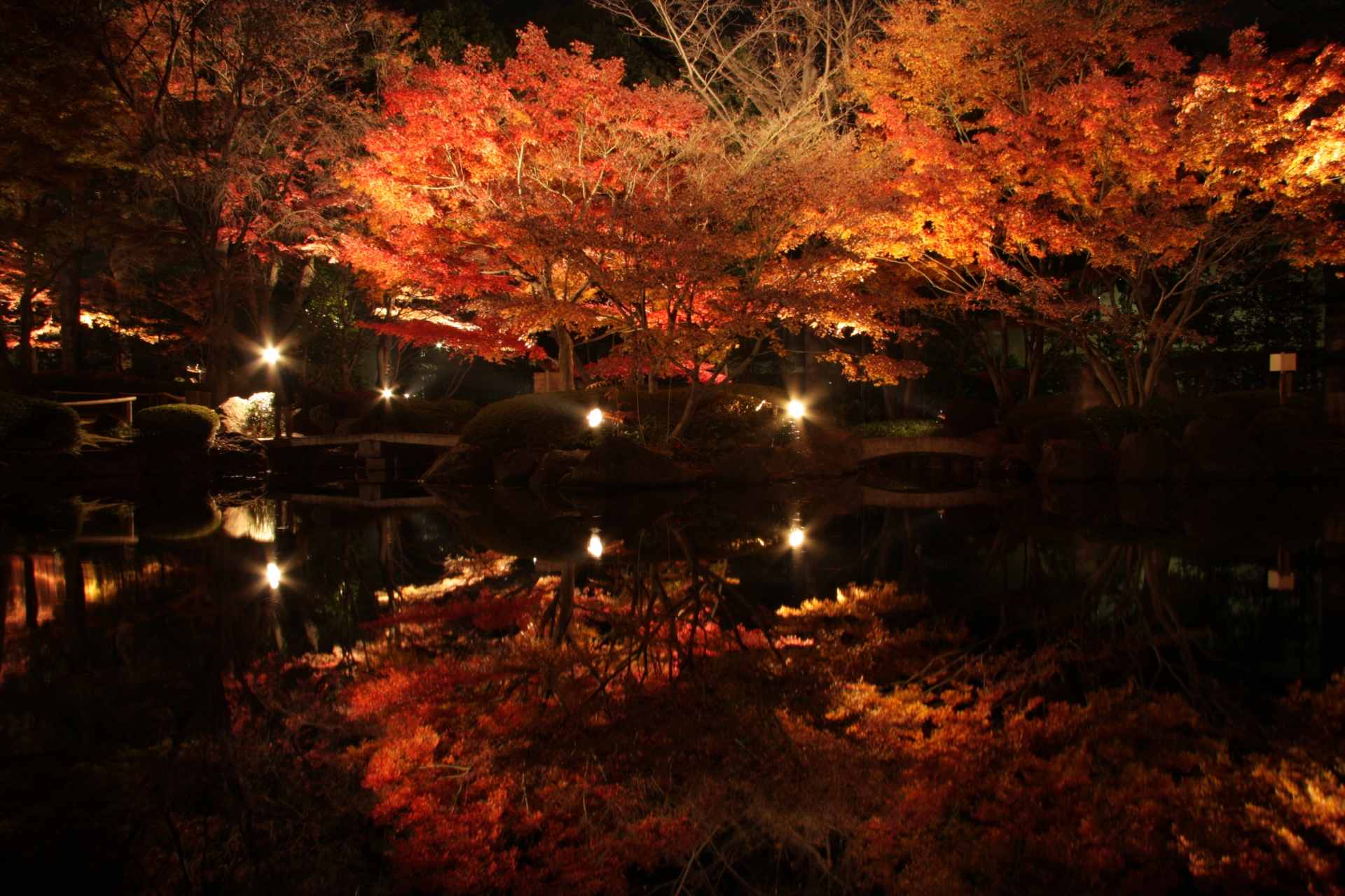 東京でライトアップした紅葉が楽しめるスポット5選 明治神宮外苑 御岳渓谷遊歩道 大田黒公園など 東京イベントプラス 親子で楽しいお得な週末お出かけ情報