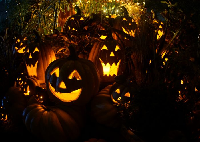 写真17枚あり 親子で一緒に簡単に作れるジャックオランタンの作り方 ハロウィンかぼちゃ 東京イベントプラス 親子で楽しいお得な週末お出かけ情報