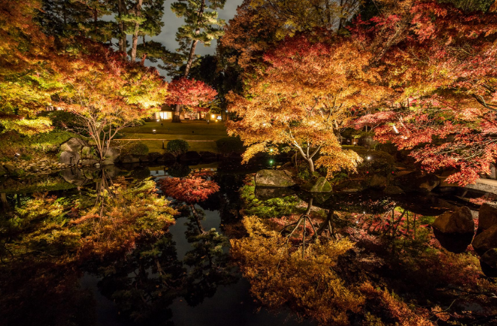 東京でライトアップした紅葉が楽しめるスポット5選 明治神宮外苑 御岳渓谷遊歩道 大田黒公園など 東京イベントプラス 親子で楽しいお得な週末お出かけ情報