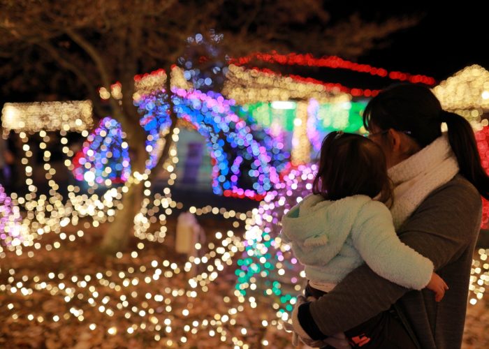 21年冬版 杉並区のイルミネーションで冬を満喫 おすすめ4選 阿佐ケ谷 高円寺 東京イベントプラス 親子で楽しいお得な週末お出かけ情報