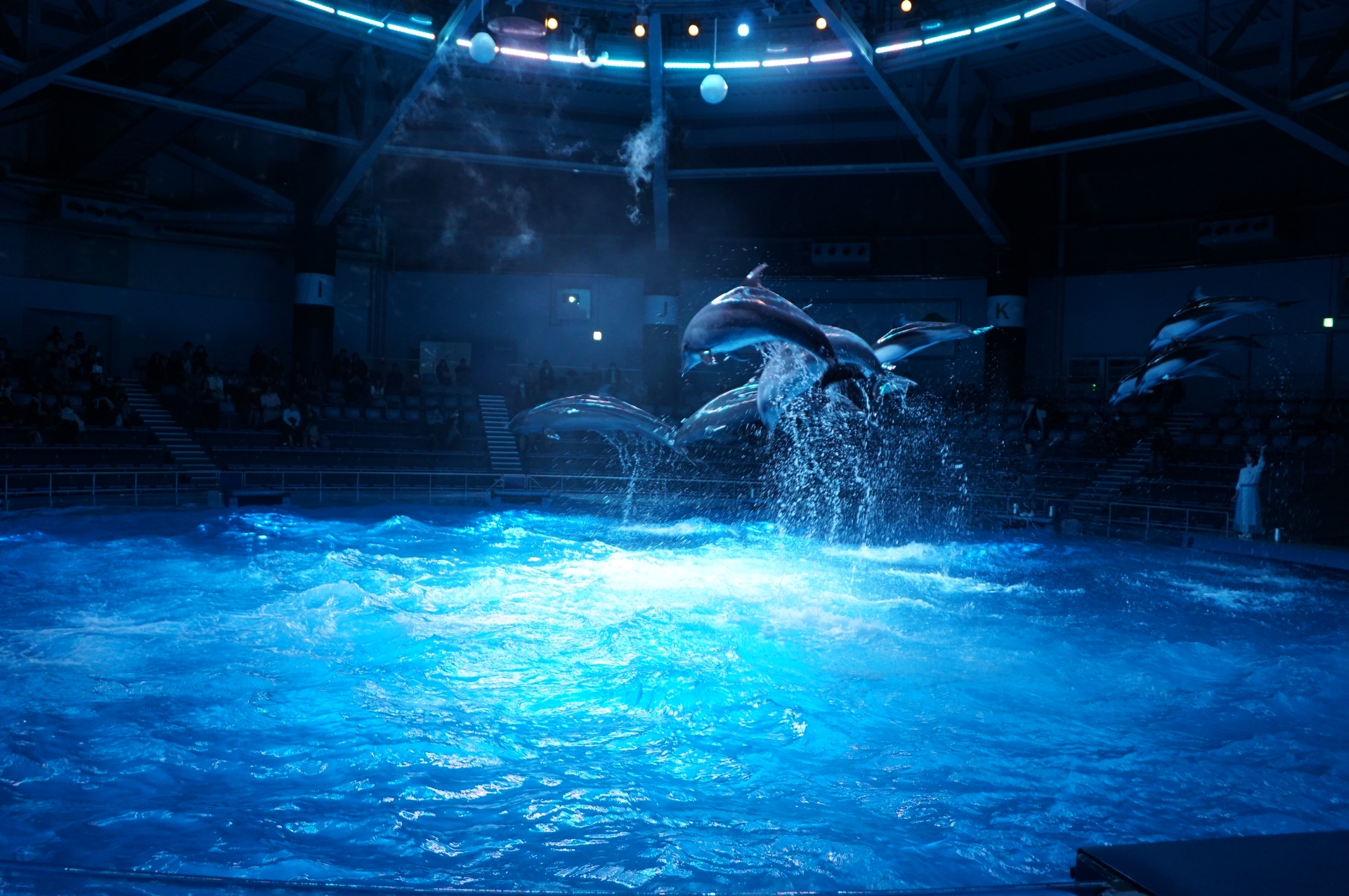 東京 子連れで気軽にベビーカーで水族館へお出かけ おすすめ水族館3選 東京イベントプラス 親子で楽しいお得な週末お出かけ情報