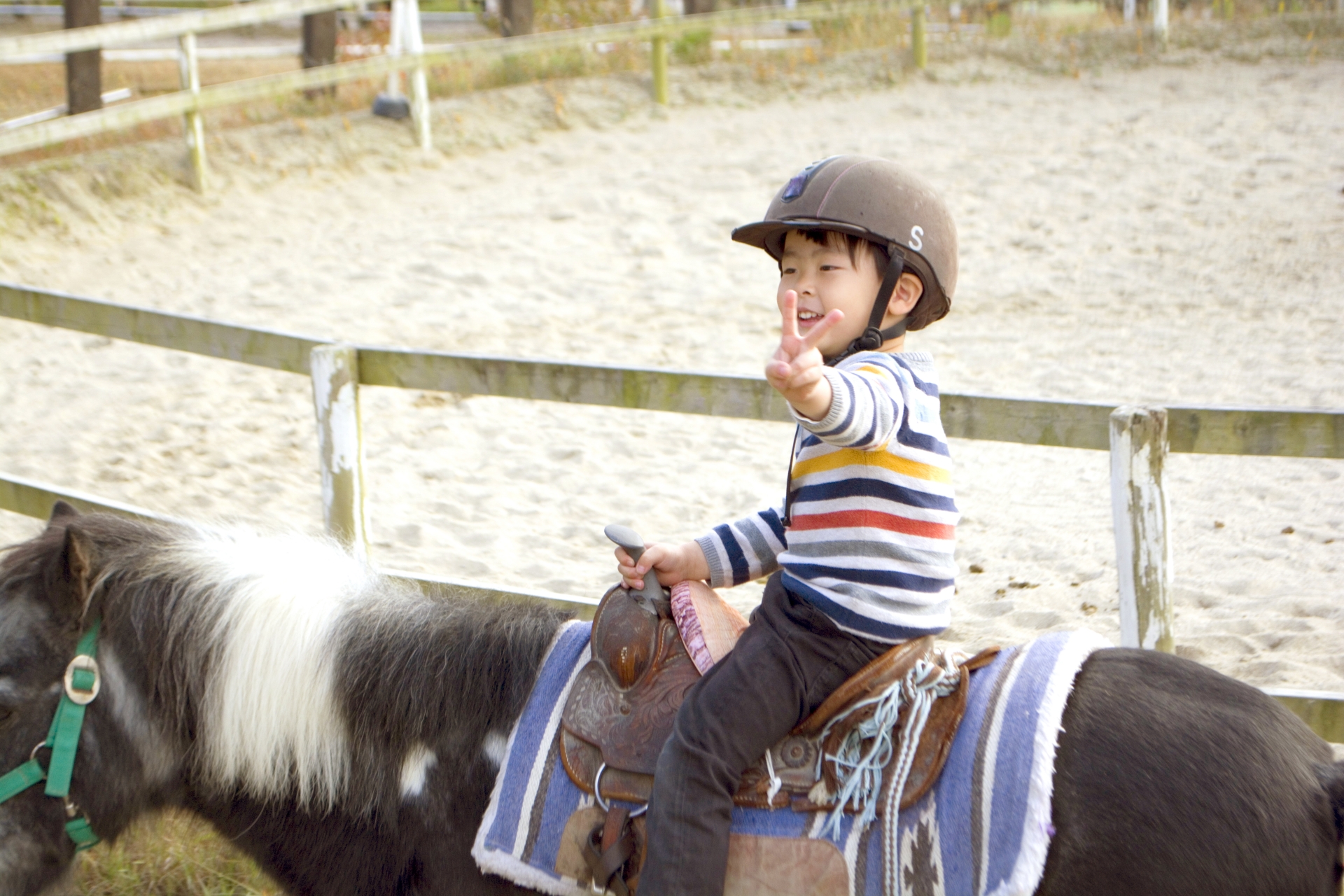 都会でかわいいポニーとふれあおう 子連れで乗馬体験３選 東京 東京イベントプラス 親子で楽しいお得な週末お出かけ情報