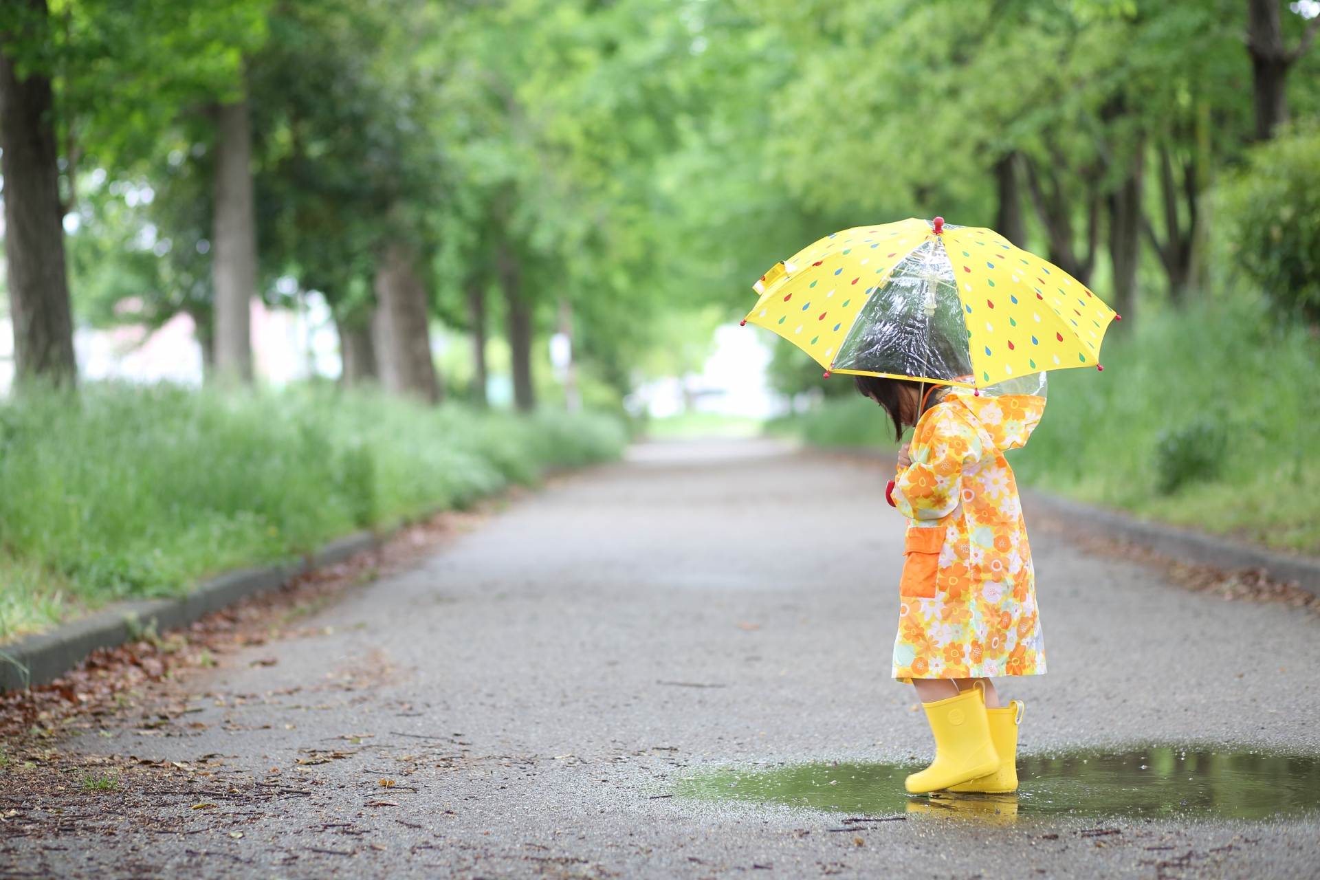 【東京】雨の日にこそ子連れででかけたい!自然を楽しめるスポット10選 | 東京イベントプラス | 親子で楽しいお得な週末お出かけ情報