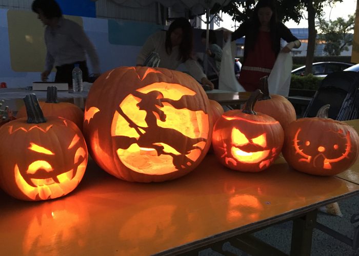 【アンナ】ハロウィンかぼちゃ　本物 ハロウィンでおなじみのかぼちゃ/ジャックオーランタンの種