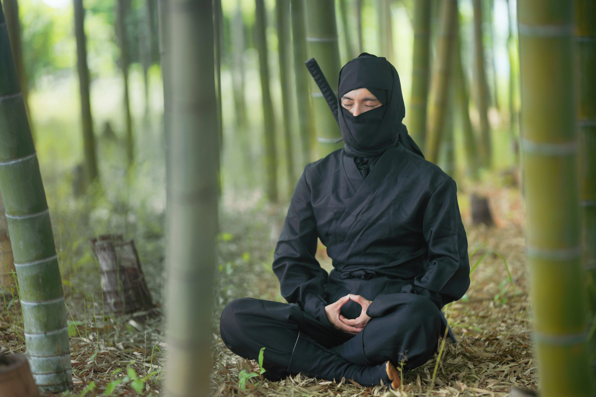 上野】2024伊賀上野NINJAフェスタで伊賀の忍者を体感しよう!｜2024年11